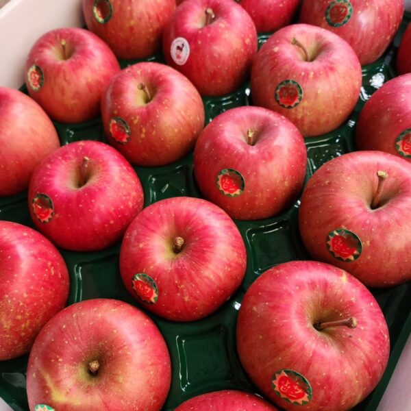 【Amazing Apple】サンふじ贈答品5kg‐11月下旬～順次発送‐ - 画像 (2)